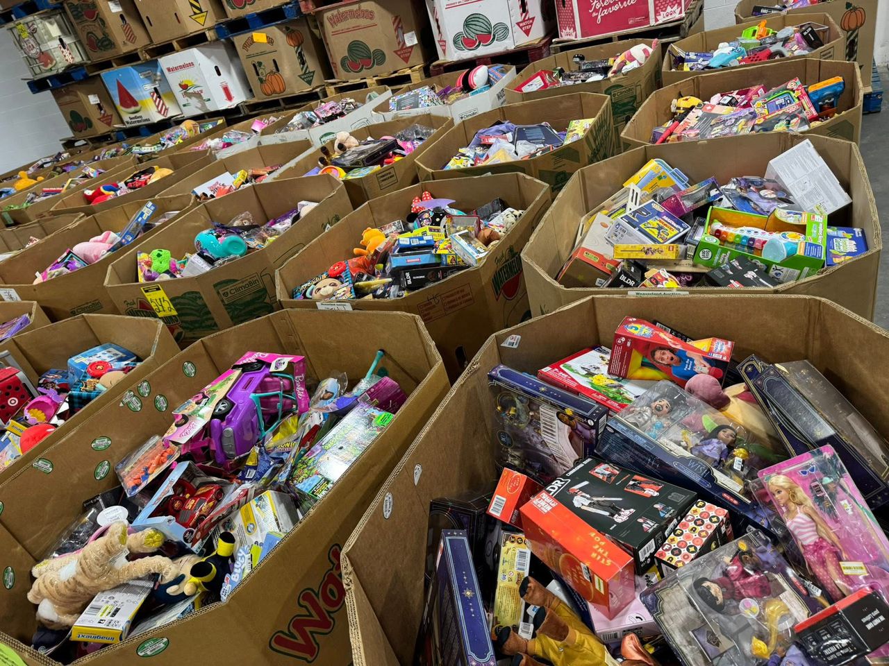 Target Toys Liquidation Pallets - Image 3